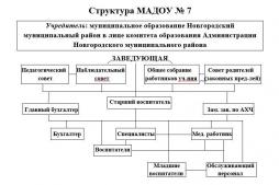 Организационная структура МАДОУ № 7 "Детский сад комбинированного вида" п. Пролетарий